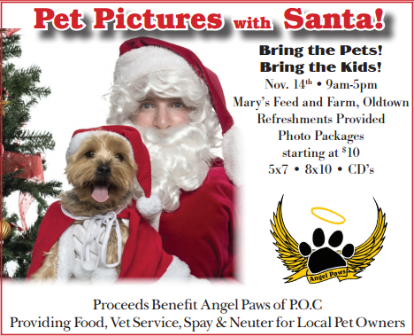 Pet Pictures With Santa